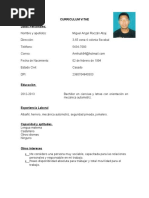 Curriculum Vitae Muestra