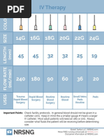 ATI Proficiency Levels | PDF | Business | Computers