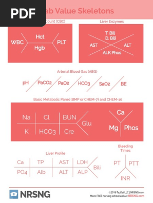 Powerpoint Lab Skeletons Cbc Template herejfiles