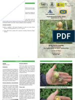 cultivo uchuva.pdf