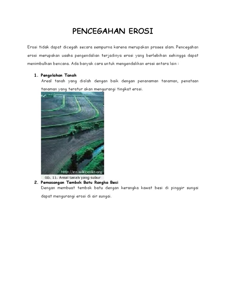 Cara Efektif Pencegahan Erosi Tanah | PDF | Sains & Matematika