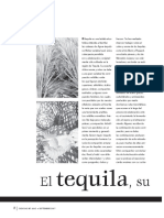 tequila su sabor , aroma.pdf