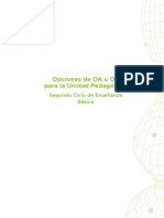 Opciones_SC_2015.pdf