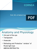 Anatomy and Treatment of Corneal Ulcers