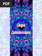 Carta Programa - Chapa Caleidoscópio