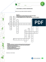 Crucigrama Sist. Respiratorio PDF
