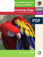 Pace Guacamaya Roja PDF