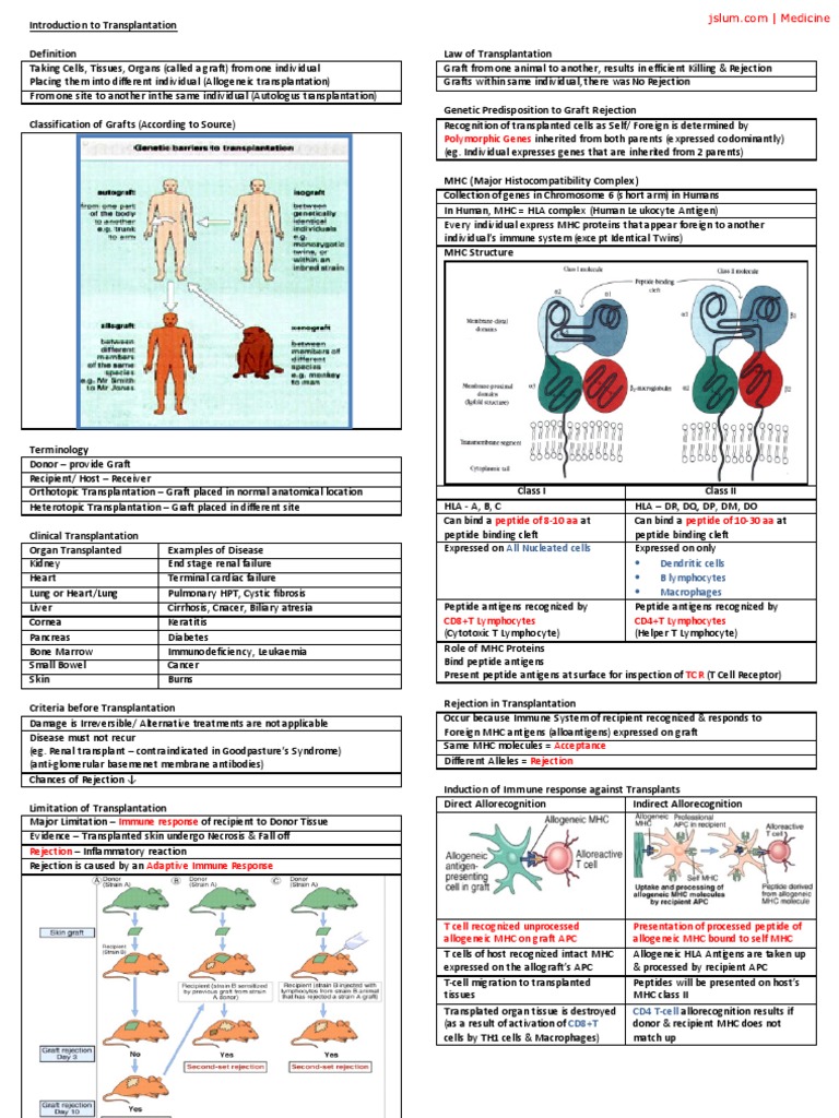 Overview of Transplantation Processes | PDF | Transplant Rejection ...