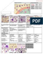 Leukocytes Benign Disorders