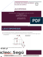 Leucopoyesis-1