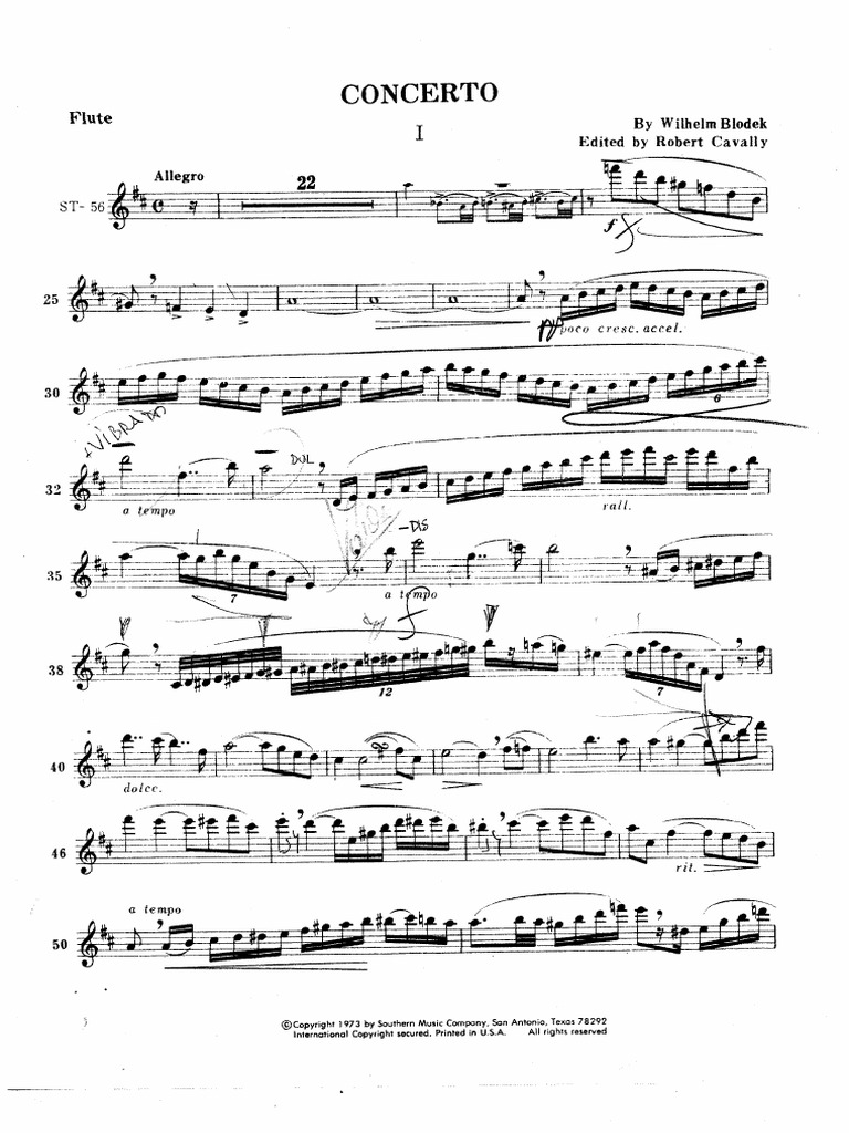 Blodek Flute Concerto PDF PDF