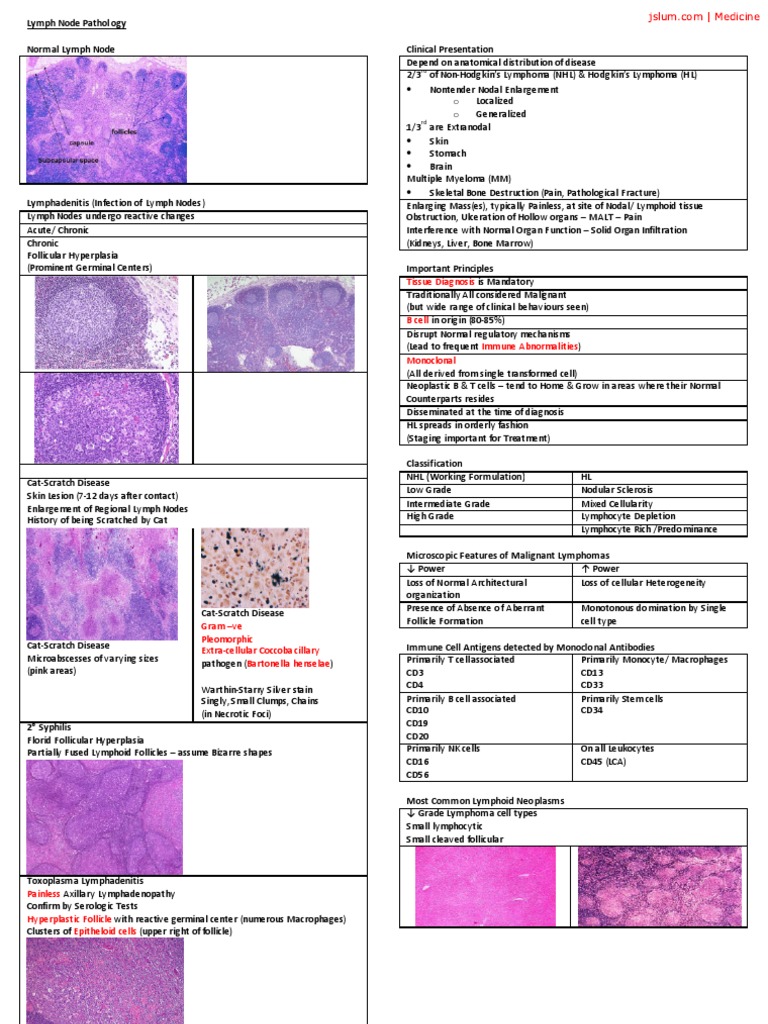 Lymph Node Pathology Pdf Lymphoma Lymphatic System