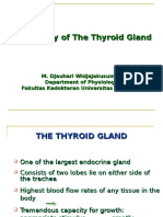 Intro To The Function of Thyroid Gland