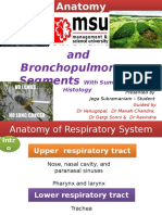 tracheobronchialepulmonary