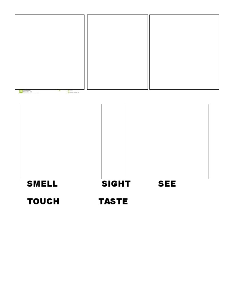 The Five Senses Explained | PDF