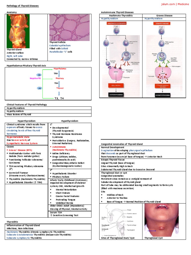 Pathology of Thyroid Diseases | PDF | Thyroid Disease | Thyroid