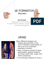 20121210 Urine Formation-ip