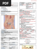 Download Urinary Tract Infection by GerardLum SN32636132 doc pdf