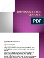 Embriologi Sistem Genitalis