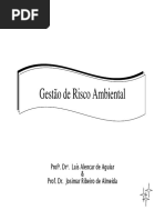 Gestão de Risco Ambiental