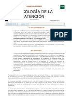 Psicología de La Atención 2s