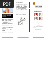 Poder Judicial Triptico