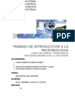 Microorganismos Utilizados en Las Diversas Industrias y Sus Roles