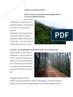 Bosques de El Salvador y Su Estado Actual