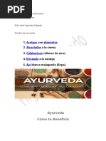 Recetas de Aryuveda Palomino