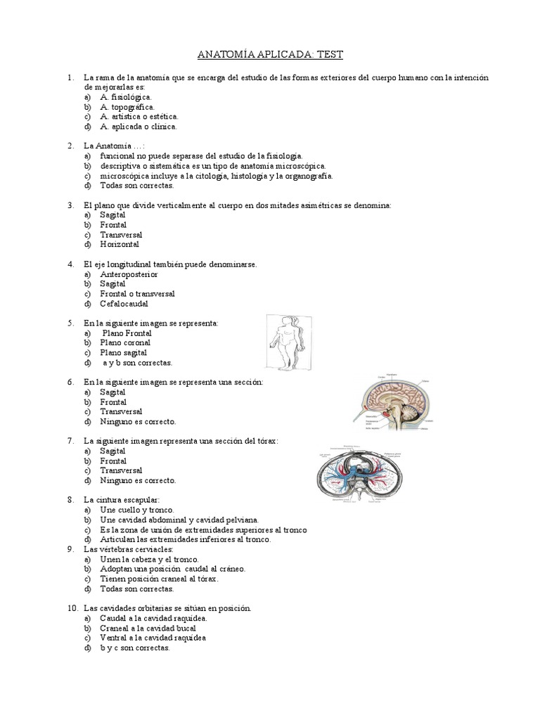 Test Anatomía | Abdomen | Cráneo | Prueba gratuita de 30 días | Scribd