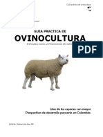 manual_cria_ovinos_produccion_carne.pdf