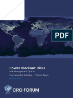 Position Paper Power Blackout Risks PDF