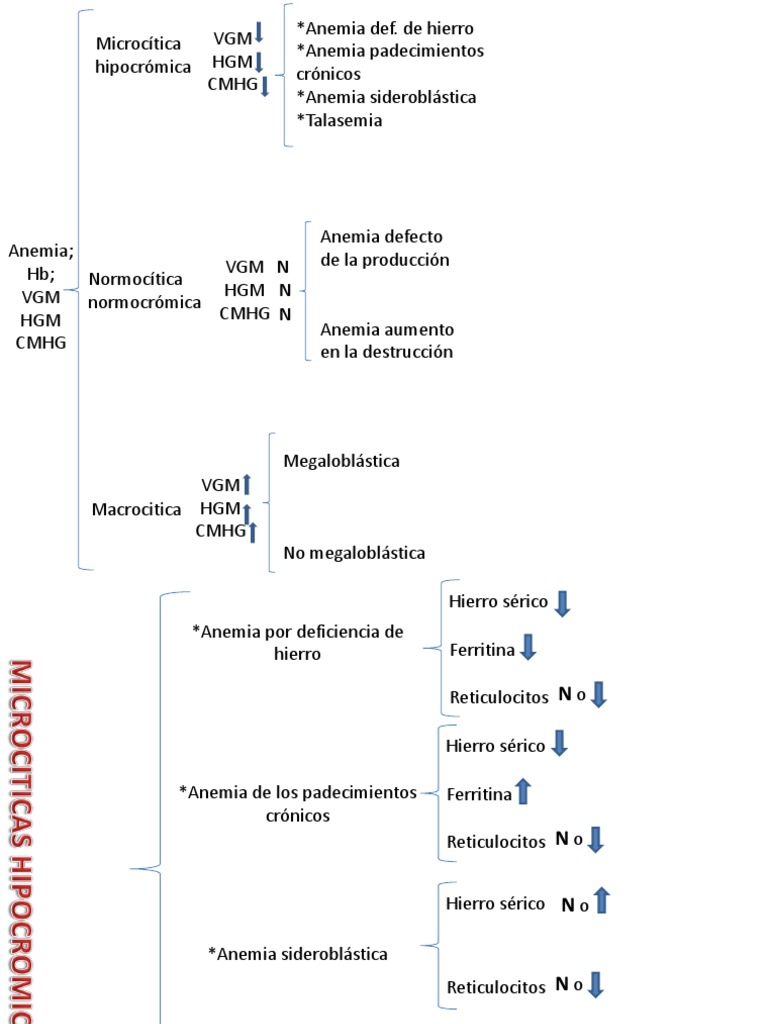Cuadro Sinoptico de Los Datos de La Bh en Diferentes Anemias