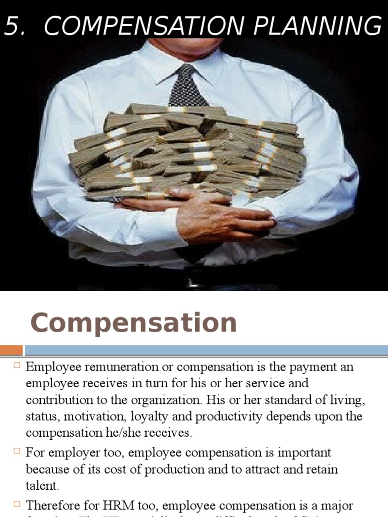 Employee Compensation Planning Guide | PDF | Employee Benefits ...