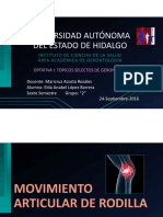 Articulación de Rodilla PDF