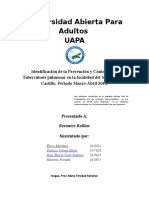 Metodologia de La Investigacion 1 Trabajo Final La Tuberculosis