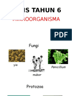 Microorganisma