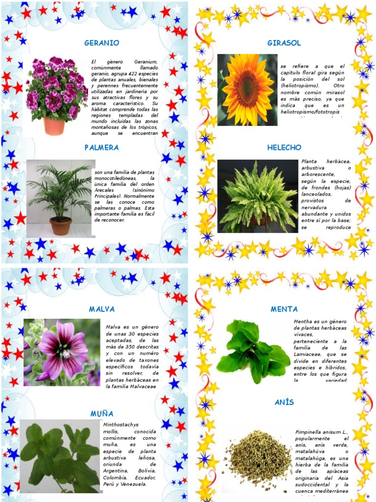Album de Plantas PDF Arecaceae Plantas