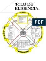 Ciclo de Inteligencia