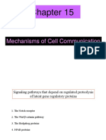 Chapter 15 - Mechanisms of cell communication - 111612.ppt
