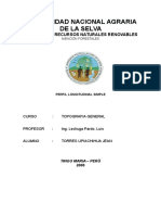 Informe Perfil Longitudinal Simple Paso1