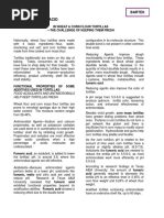 COLFLO® 67 Modified Starch Overview | PDF | Starch | Food Industry