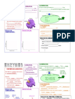 Bio Enzymes