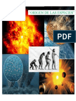 Pregunta de Investigación. Biologia