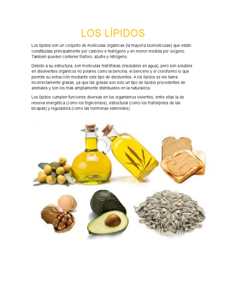 Los Lípidos Lipid Biochemistry