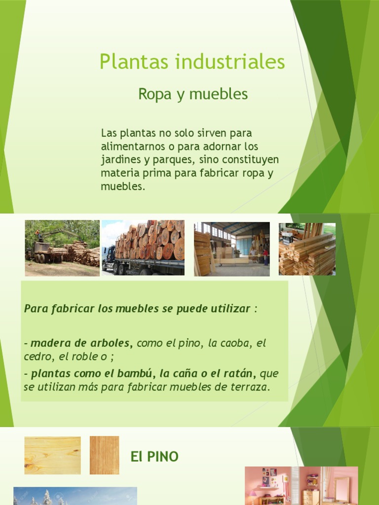 Plantas Industriales-Ropa y Muebles | PDF