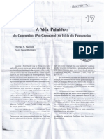 A Vida Primitiva do Criptozoico ao Fanerozoico