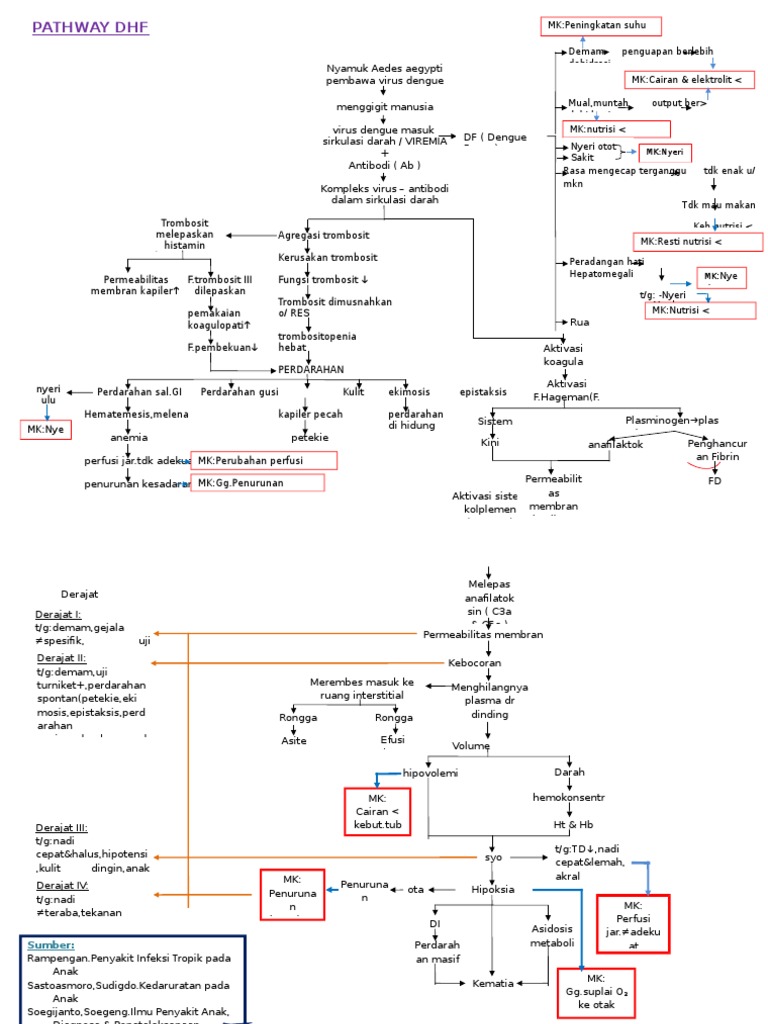 Pathway Tatalaksana DHF Anak dan Dewasa | PDF