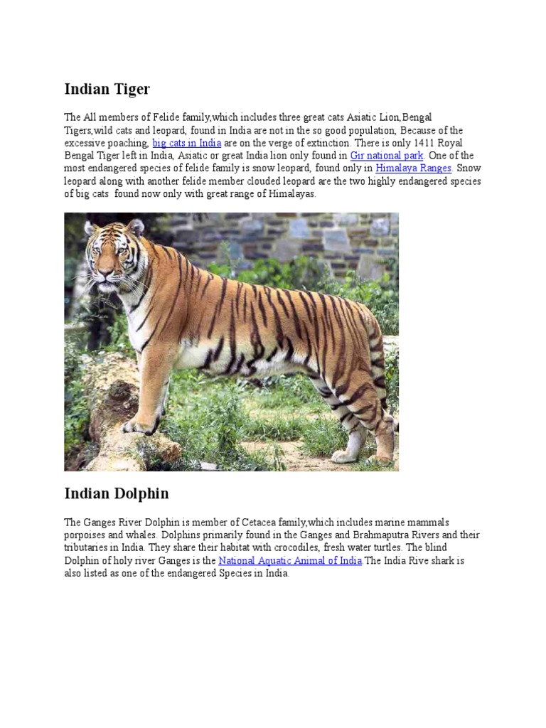 Endangered Wildlife of India | PDF | Mammals Of Asia | Fauna Of South Asia