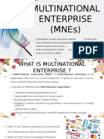 Multinational Enterprise (Mnes)